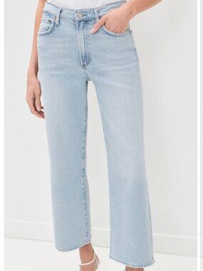 AGOLDE Harper Straight Crop in Hassle